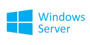 System operacyjny MICROSOFT Win Svr CAL 2022 ENG R18-06430