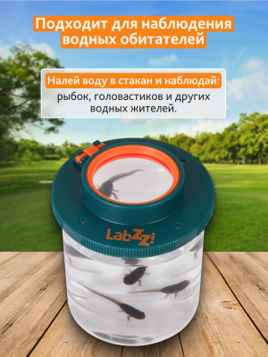 Pojemnik Levenhuk LabZZ C1 do obserwacji owadów