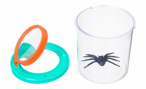 Słoik na owady Levenhuk Discovery Basics CN5