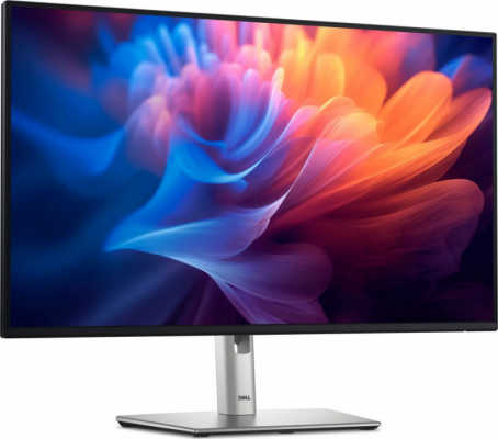 Monitor DELL 210-BMJF (24&quot; /IPS /100Hz /1920 x 1200 /Czarno-srebrny )