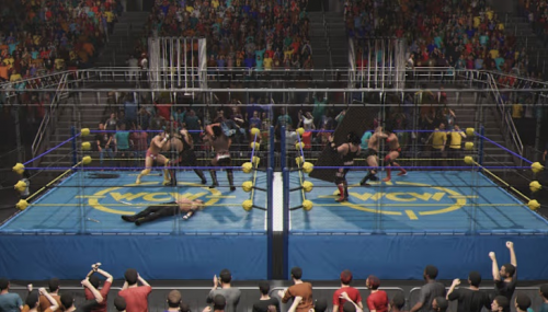 Gra ESD WWE 2K25 Standard Edition XXS ML