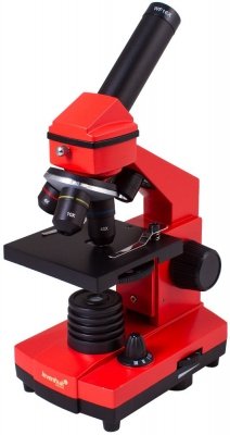 (PL) Mikroskop Levenhuk Rainbow 2L PLUS