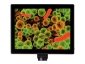 Aparat cyfrowy fotograficzny Levenhuk MED 5M z wyświetlaczem LCD 9,4 do mikroskopów 