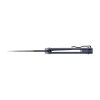 Nóż składany Ganzo Firebird FH922PT-GY