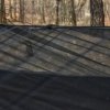 Hamak TigerWood Ważka V1 z moskitierą czarny