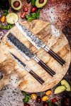 Zestaw 3 Noży Forged Sebra w Pudełku, uniwersalny Zestaw