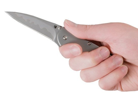 Nóż składany Kershaw Leek 1660CB