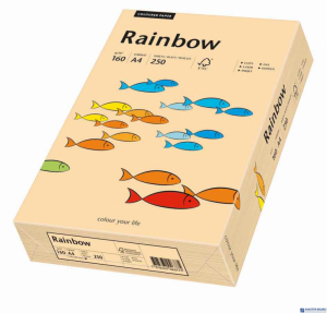 Papier xero A4 160g j.różowy 250a R54 RAINBOW 88042527/23