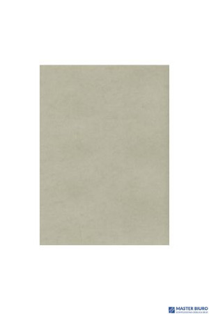 Karton wizytówkowy A4 platynowy W72 (10) 235g KRESKA (X)