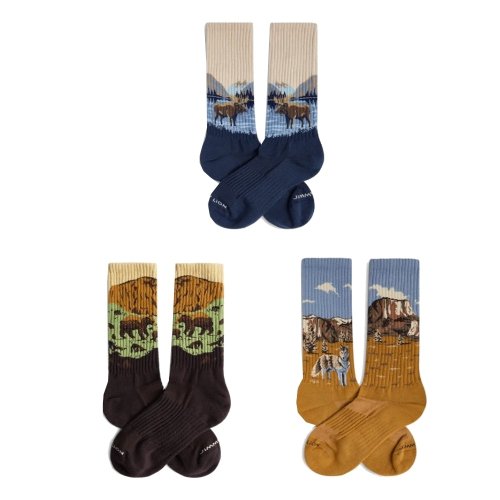 Skarpety bawełniane Jimmy Lion WILD PARKS PACK 3-pak multikolor