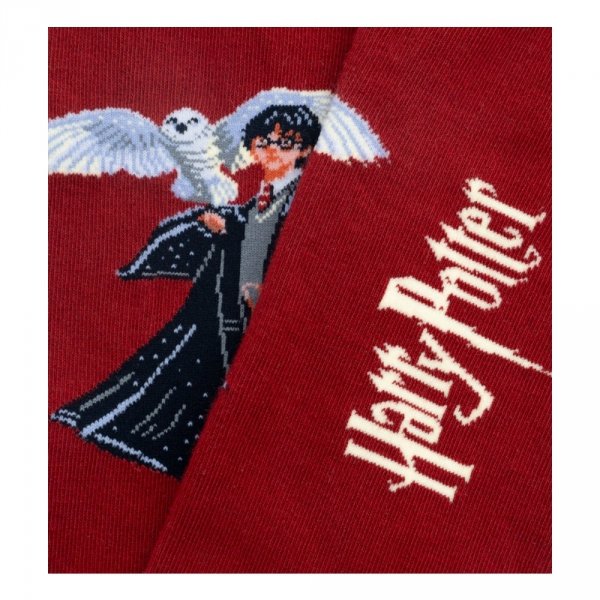 Skarpety Jimmy Lion HARRY POTER THE BOY WHO LIVED Burgund