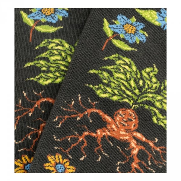 Skarpety Jimmy Lion HARRY POTER HERBOLOGY Dark Grey