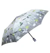 Parasol DP341