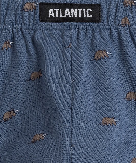 Atlantic SLIPY ATLANTIC 3MP-167 WL24