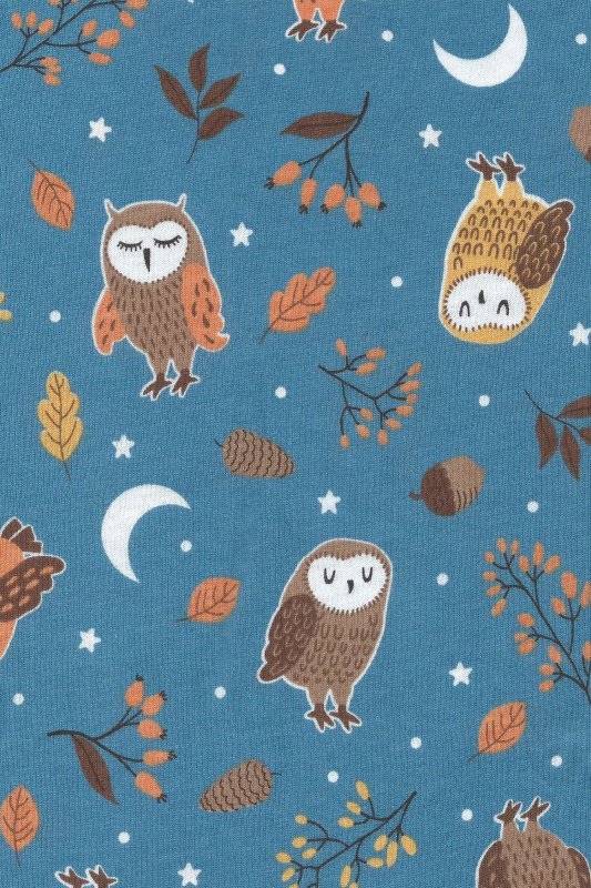 Cornette Piżama Owls 467/373