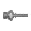Końcówka P21 DN6 M14 x 1,5 M