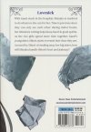 SUMMER YOU WERE THERE VOL 05 TP [9798888436738] **OFERTA SPECJALNA**