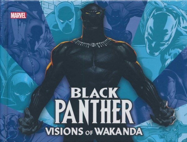 BLACK PANTHER VISIONS OF WAKANDA HC [9781302919382] **OFERTA SPECJALNA**
