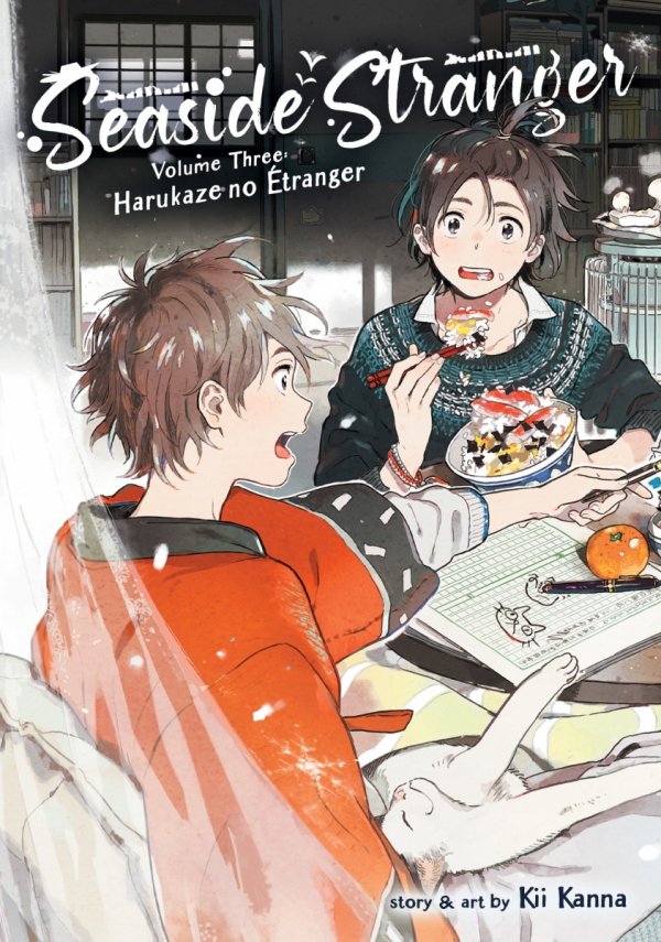 SEASIDE STRANGER VOL 03 HARUKAZE NO ETRANGER TP [9781638582458]