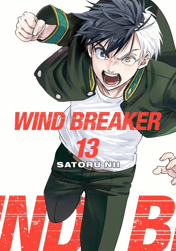 WIND BREAKER VOL 13 TP [9781646519606]