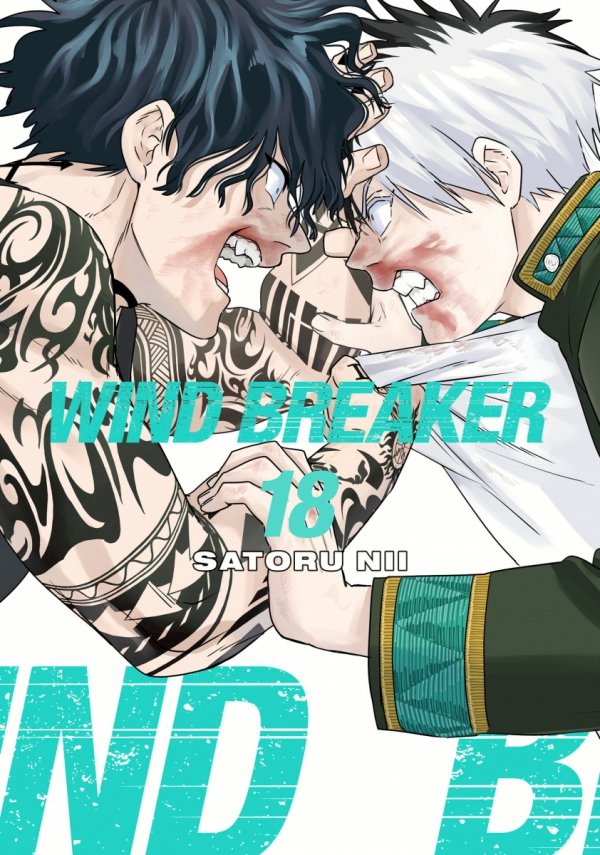 WIND BREAKER VOL 18 TP [9781646519651]