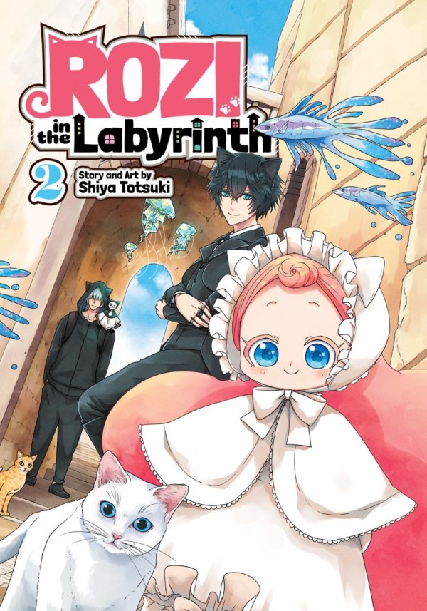 ROZI IN THE LABYRINTH VOL 02 TP [9781648279331]