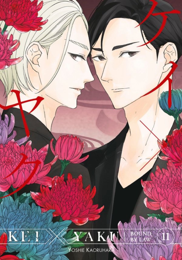 KEI X YAKU BOUND BY LAW VOL 11 TP [9798888774793]