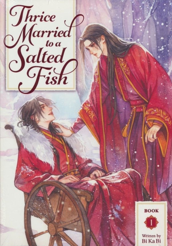 THRICE MARRIED TO A SALTED FISH NOVEL VOL 01 SPECIAL EDITION TP [9798895610954]