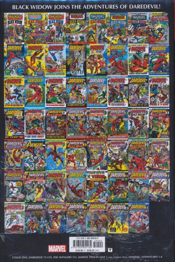 DAREDEVIL OMNIBUS VOL 03 HC [STANDARD] [9781302955182] **PROMOCJA RABAT 40%**
