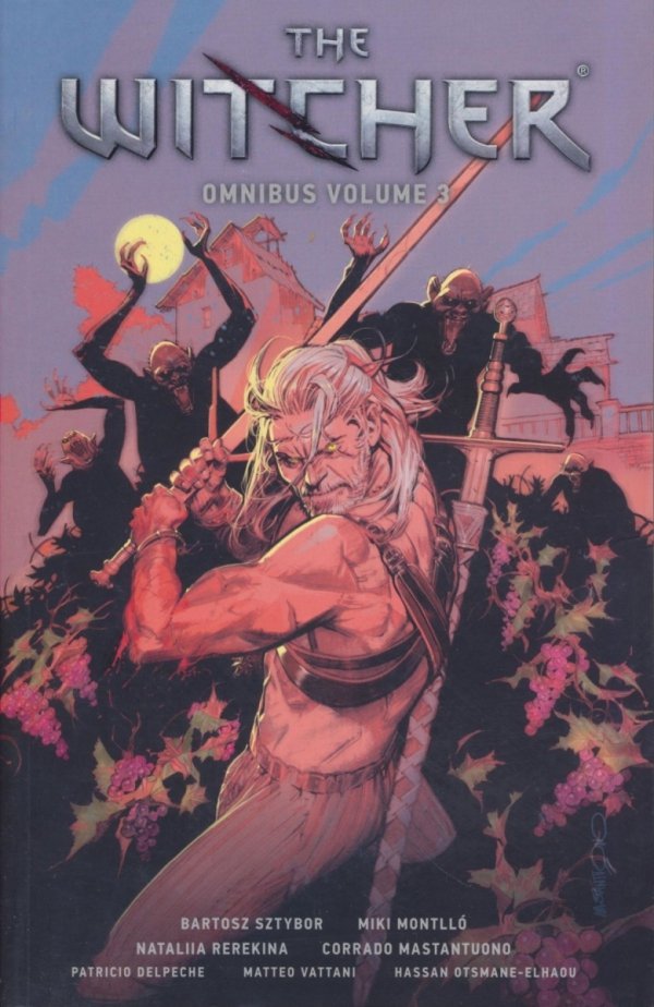 WITCHER OMNIBUS VOL 03 TP [9781506728094]