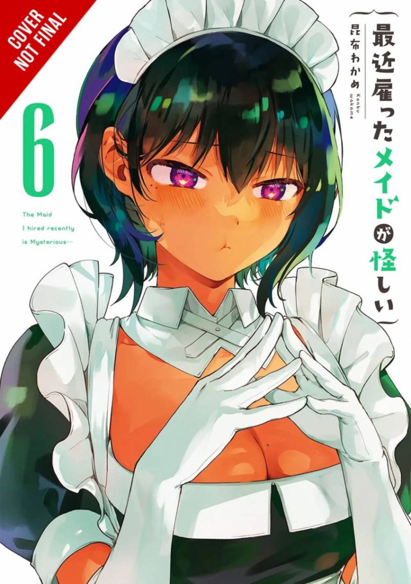 MAID I HIRED RECENTLY IS MYSTERIOUS GN VOL 06 [9781975371999]