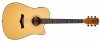 Gitara elektro-akustyczna ARROW Silver D CE (NT)