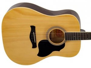 Gitara akustyczna RICHWOOD RD-12