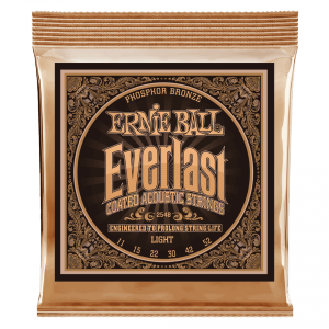 Struny ERNIE BALL 2548 Everlast Phosphor (11-52)
