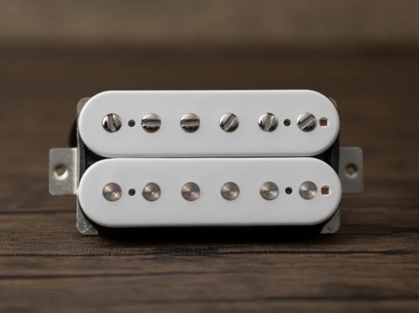 TONERIDER Alnico 2 Classics (WH, neck)