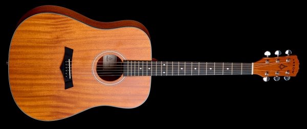 Gitara akustyczna ARROW Silver D (MH)