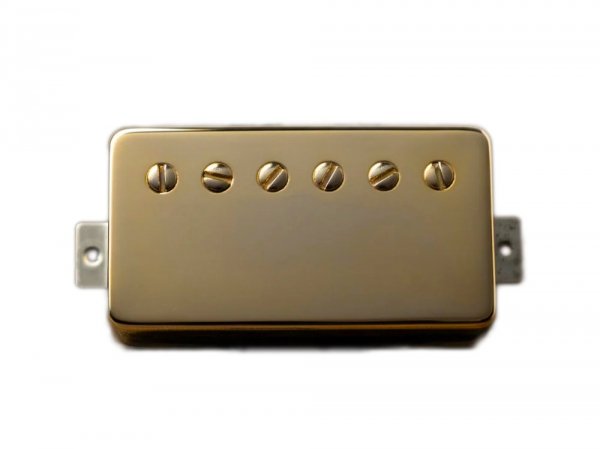 TONERIDER Alnico 4 Classics (GD, neck)