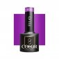 OCHO NAILS Lakier hybrydowy fluo F09 -5 g 