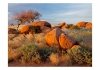 Fototapeta - Pejzaż afrykański, Namibia