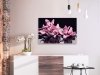 Obraz do samodzielnego malowania - Różowa orchidea (czarne tło)