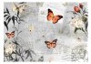 Fototapeta - Motyli śpiew