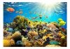 Fototapeta - Podwodny świat