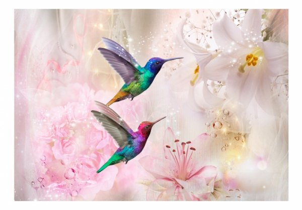 Fototapeta - Kolorowe kolibry (różowy)