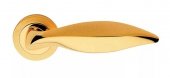 Klamka Delfino OM-mosiądz złocony rozeta 102 