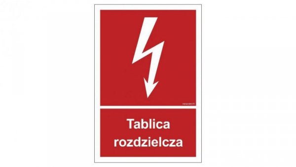 ZNAK - BC009 Tablica rozdzielcza 50 x 74 cm TS - Płyta TD foto.