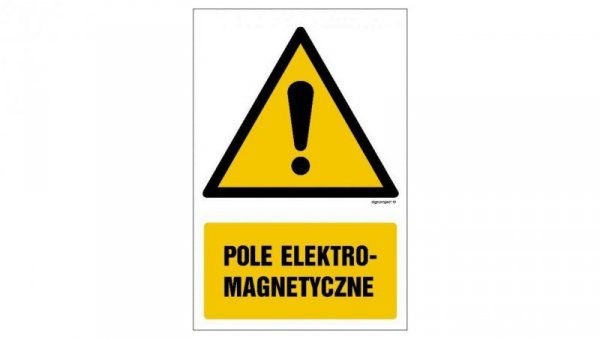 ZNAK - GF002 Pole elektromagnetyczne 50 x 75 cm FS - Folia samoprzylepna foto.
