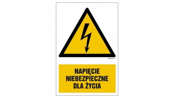 ZNAK - HA002 Napięcie niebezpieczne dla życia 7,5 x 10 cm PN - Płyta 1mm