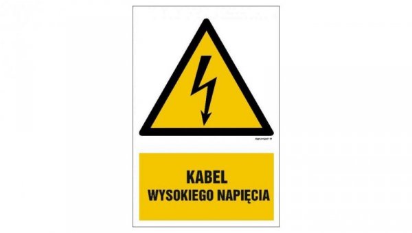 ZNAK - HA005 Kabel wysokiego napięcia 10 x 15 cm FN - Folia samoprzylepna