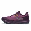 Obuwie Sportowe Damskie Saucony Peregrine 14