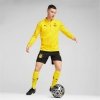 Męska kurtka sportowa Puma Borussia Dortmund Żółty